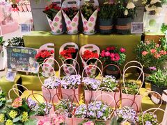 -盒马鲜生(宝地店)