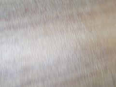 -天天沸腾(东港路店)