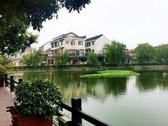 -金山嘴渔村