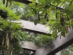 -缥缈峰景区
