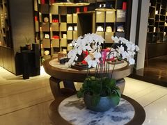 -王德传茶庄(上海新天地店)