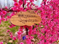 -北京凤凰岭