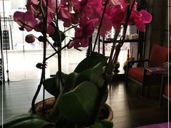 -LANN I 蘭 泰式古法按摩(徐家汇城开YOYO店)