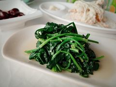 -云中小雅