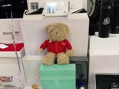 -河南威佳金凯汽车销售服务有限公司