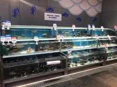 -盒马鲜生(莱蒙都会店)