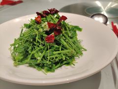-沪碟·精菜坊(闵行店)