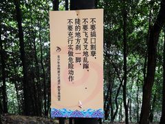 -壹华里·市集