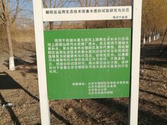 -东坝千亩湖公园