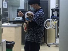 -爱侣宠医·鹦鹉专科·小型哺乳类·异宠专科(灵石路店)