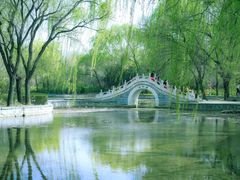 -洛阳市隋唐城遗址植物园