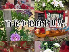 -曹州百花园
