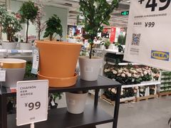 -宜家家居(哈尔滨商场店)