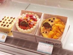 -蒲公英(五里店)