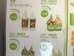 -Salud撒露欧洲冻酸奶(798艺术区店)