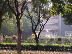 -广州市越秀区育才实验学校
