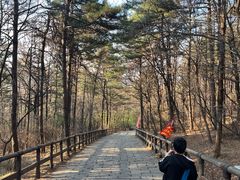 -沈阳辉山风景区