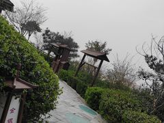 -徂徕山森林康养度假谷温泉