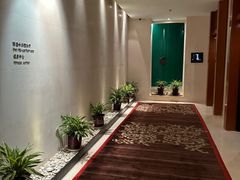 -丽思卡尔顿酒店泳池(金融街店)