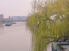 -运河游船(武林门码头)