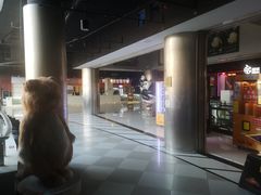 -新影联鸿泰影城