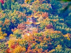 -龙口南山旅游景区