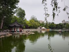 -莲湖公园