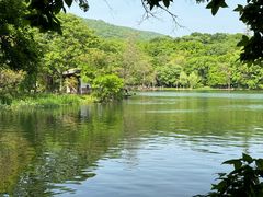 -紫霞湖公园