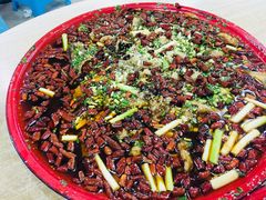 -东吴霸王兔(松青路店)