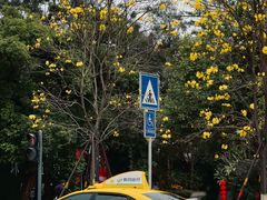 -洲头咀公园