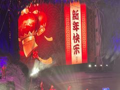 -广州长隆国际大马戏