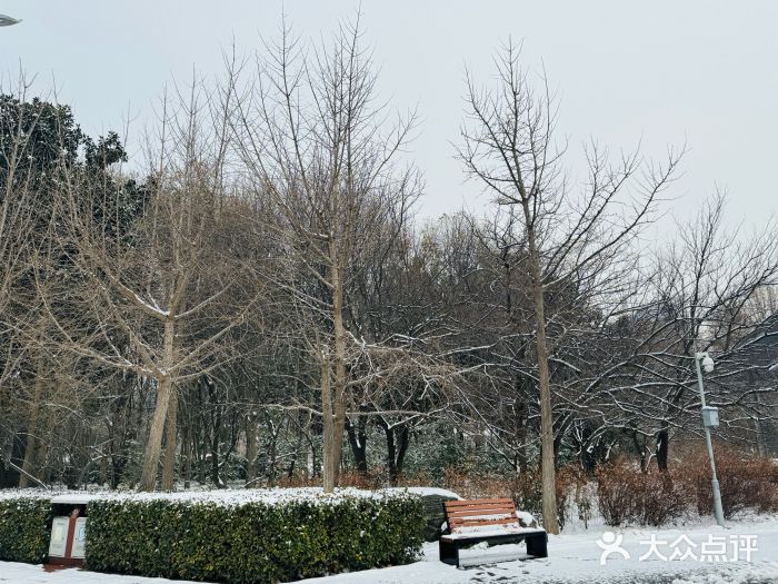 郑州植物园图片