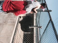 意大利农场-意大利农场度假村