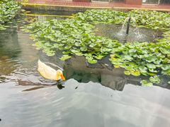 -YUNHE秐合· 雅致浙宴(西溪店)
