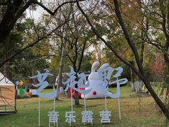 -九科绿洲