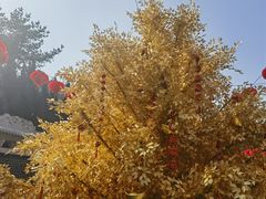 -石岛赤山风景区