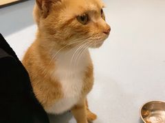 -萌兽医馆·犬猫专科·眼科中心·宠物医院(朝阳门分院)