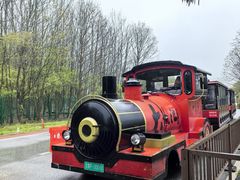 -大九湖