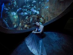 -成都浩海立方海洋公园