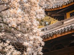 -龙华寺