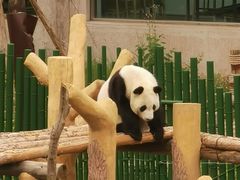 -沈阳森林动物园