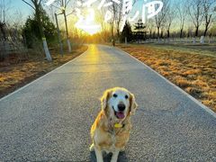 -百好乐宠物友好餐厅(朝外大街店)