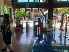 -广东惠东海龟国家级自然保护区