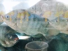 -新榕记滨江壹號