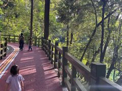 -广州市流溪河国家森林公园