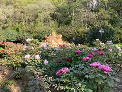 -幕燕滨江·长江观音景区