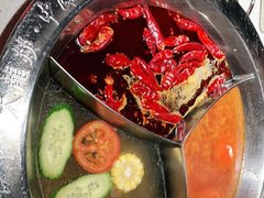 -大龙燚·旷野鲜火锅(广州首店)