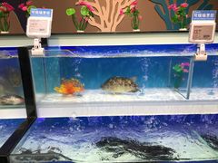 -盒马鲜生(昆城店)