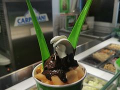 -Salud撒露欧洲冻酸奶(蓝色港湾店)