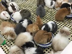 -万达广场(济南高新店)